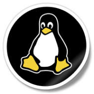 Linux Sunucu da SFTP Nedeniyle WP Eklenti Kurulumunda Yetki Hatası